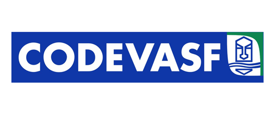Imagem - Questões CESPE 2021 de Informática (CODEVASF)