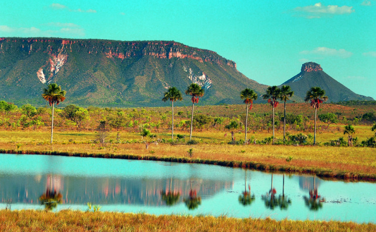 Imagem - Concurso Público Tocantins 2022: veja cenário completo