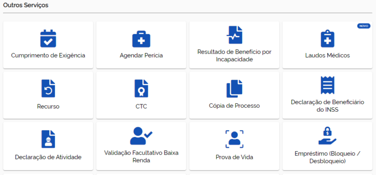 Meu INSS: O Que é E Como Usar? Veja Aqui! | Direção Concursos