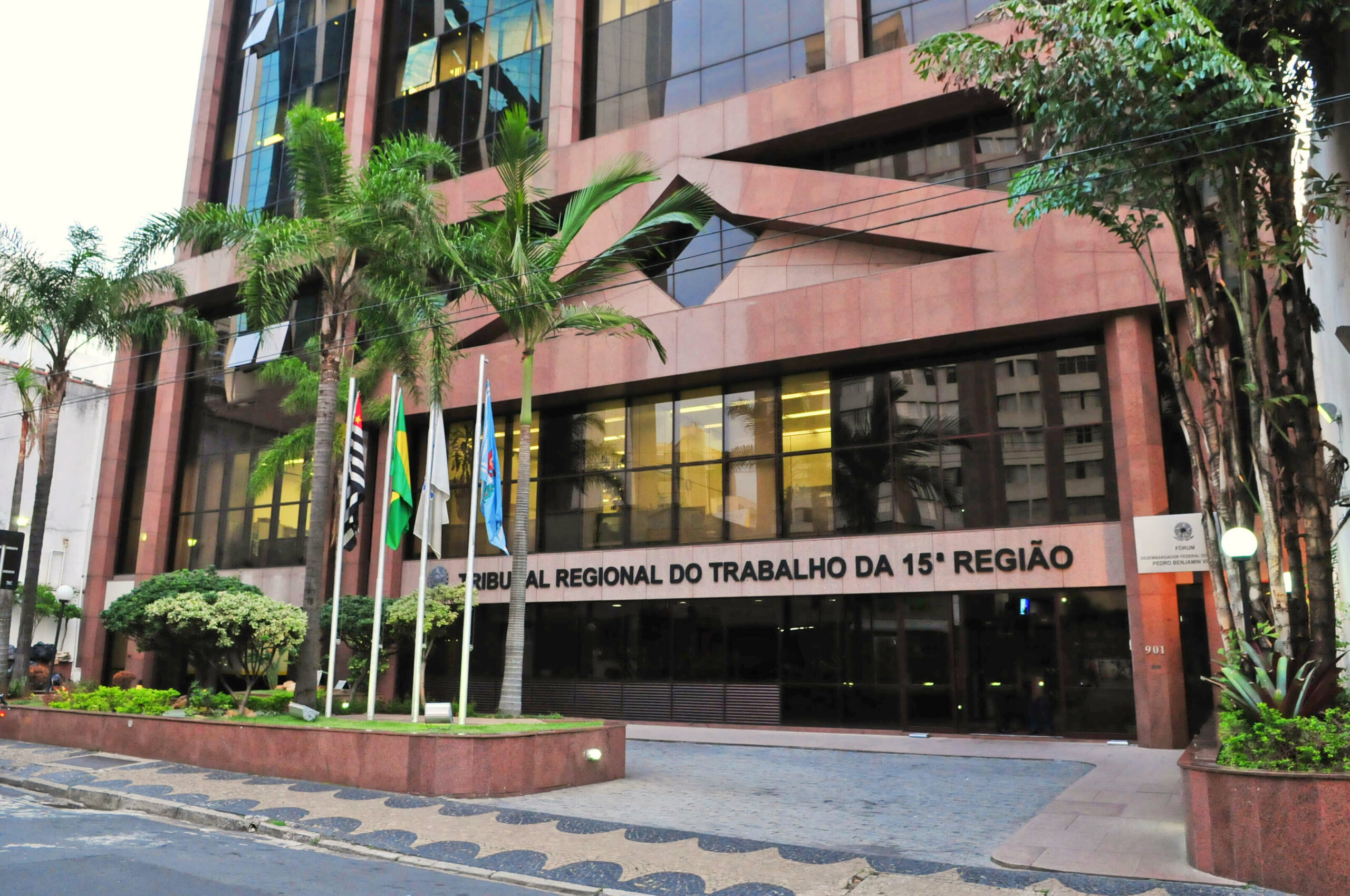 Imagem - Concurso TRT 15: divulgado resultado preliminar da heteroidentificação