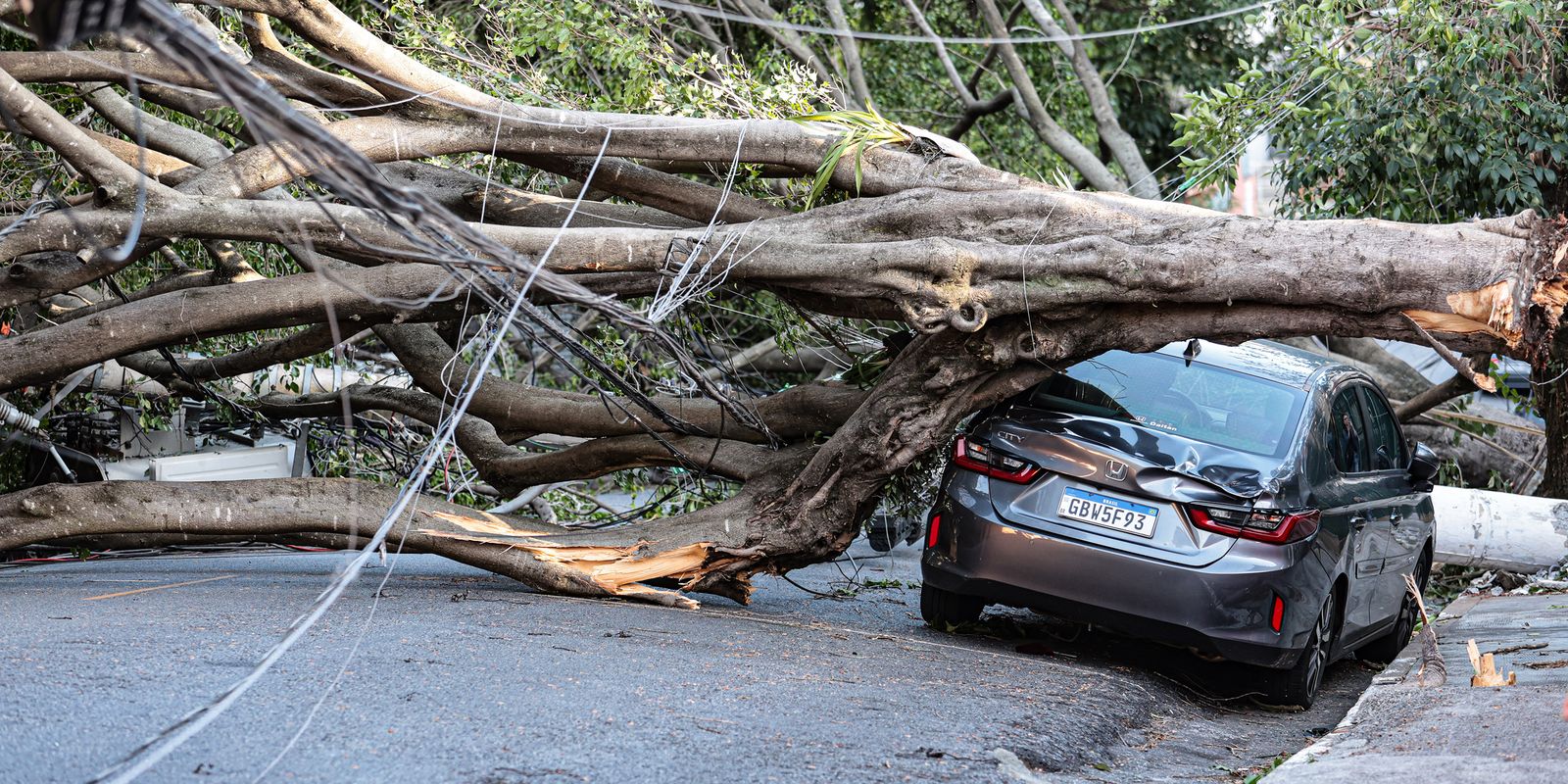 Imagem - Concursos São Paulo: órgãos definem sobre manutenção ou adiamento de provas; veja!
