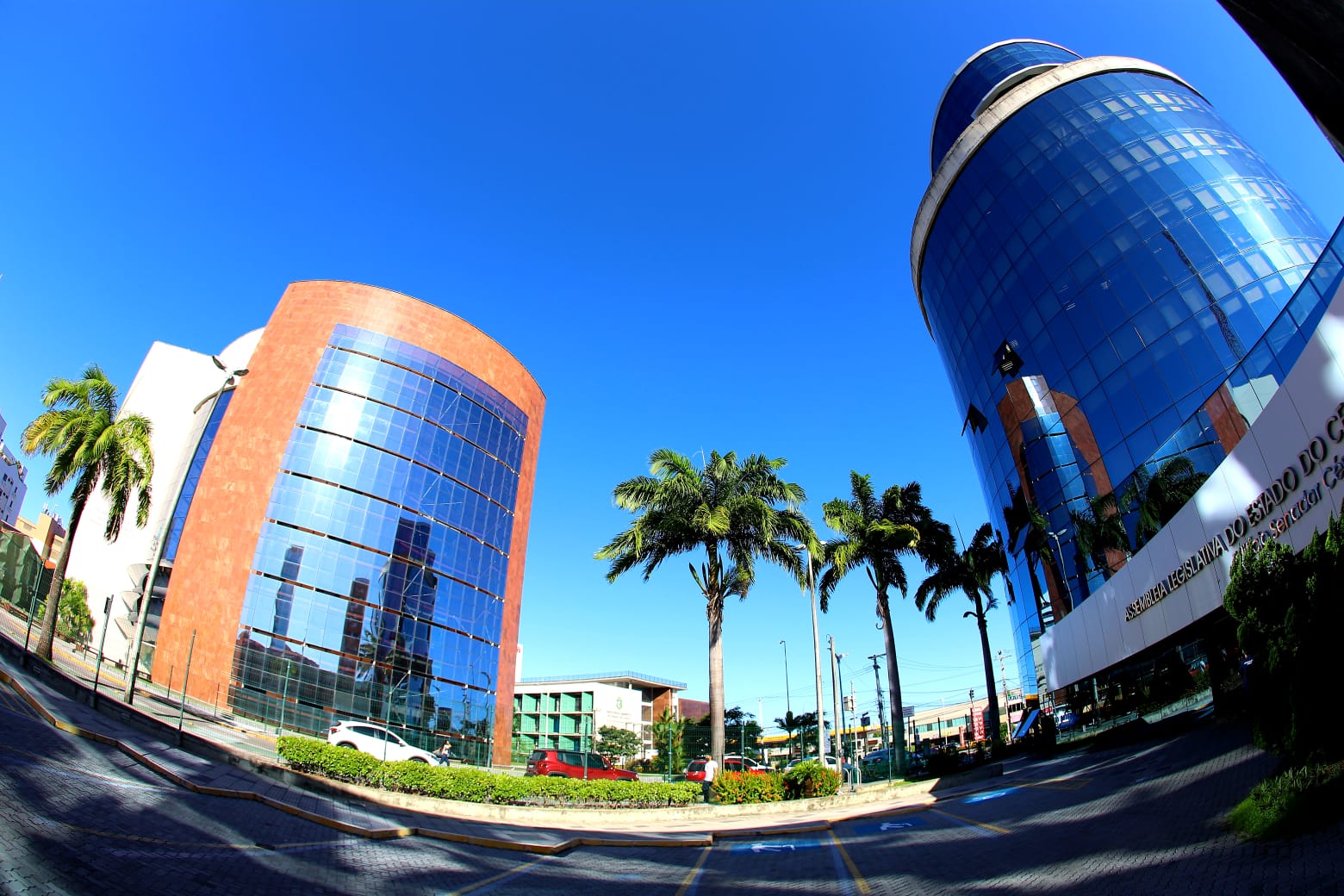 Imagem - Concurso ALECE: quem poderá participar? Veja os requisitos