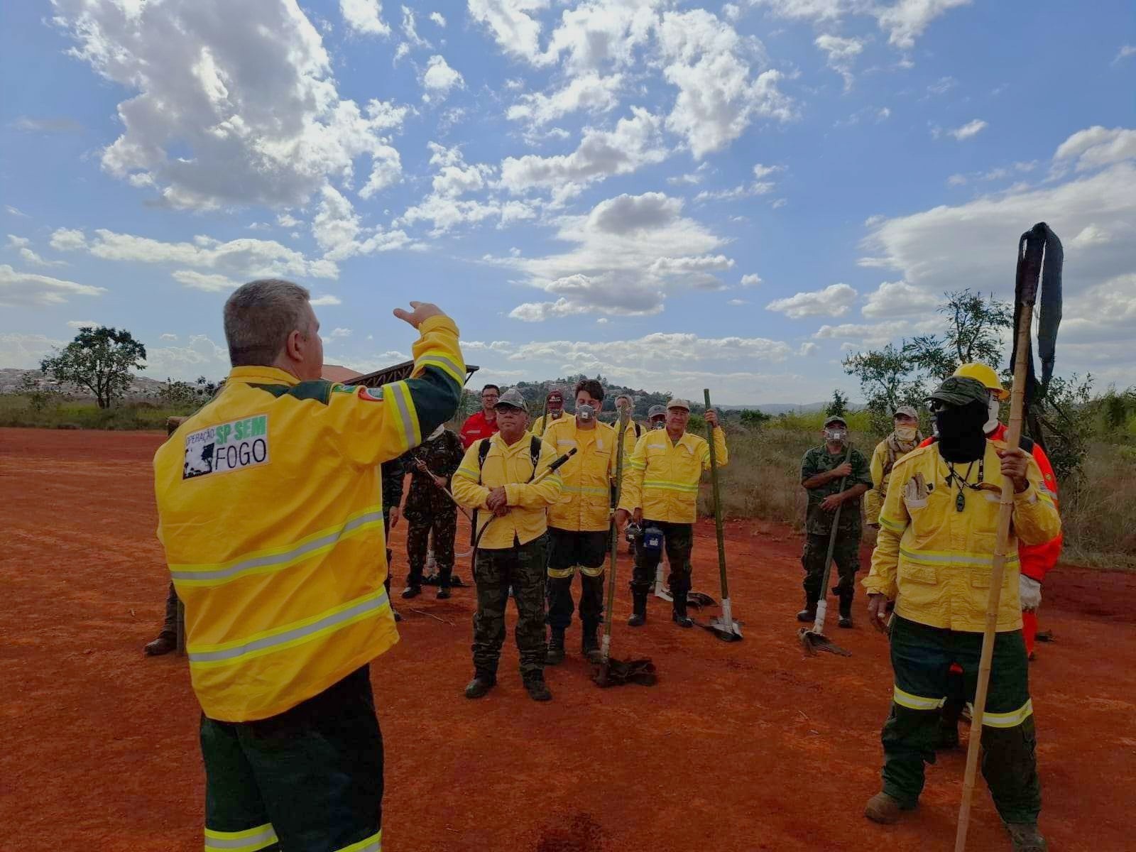 Imagem - Concurso Fundação Florestal SP: governador autoriza 70 vagas