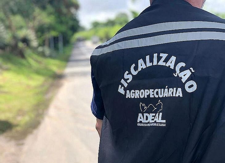 Imagem - Edital concurso ADEAL publicado: são 20 vagas + 24 CR; R$ 7,3 mil!